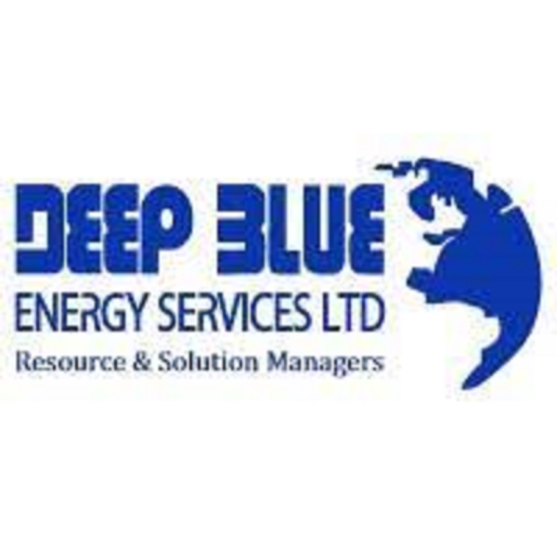 Deep Blue Energy Services Limited Job Recruitment for Marine
